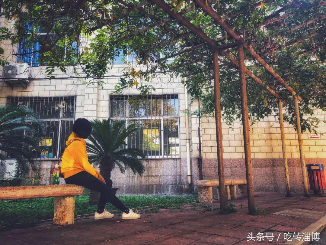 淄博十七中上学,在淄博上大学真实感受