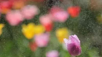 慰藉心灵的人生感悟句句走心,触碰心灵的人生感悟情感语录