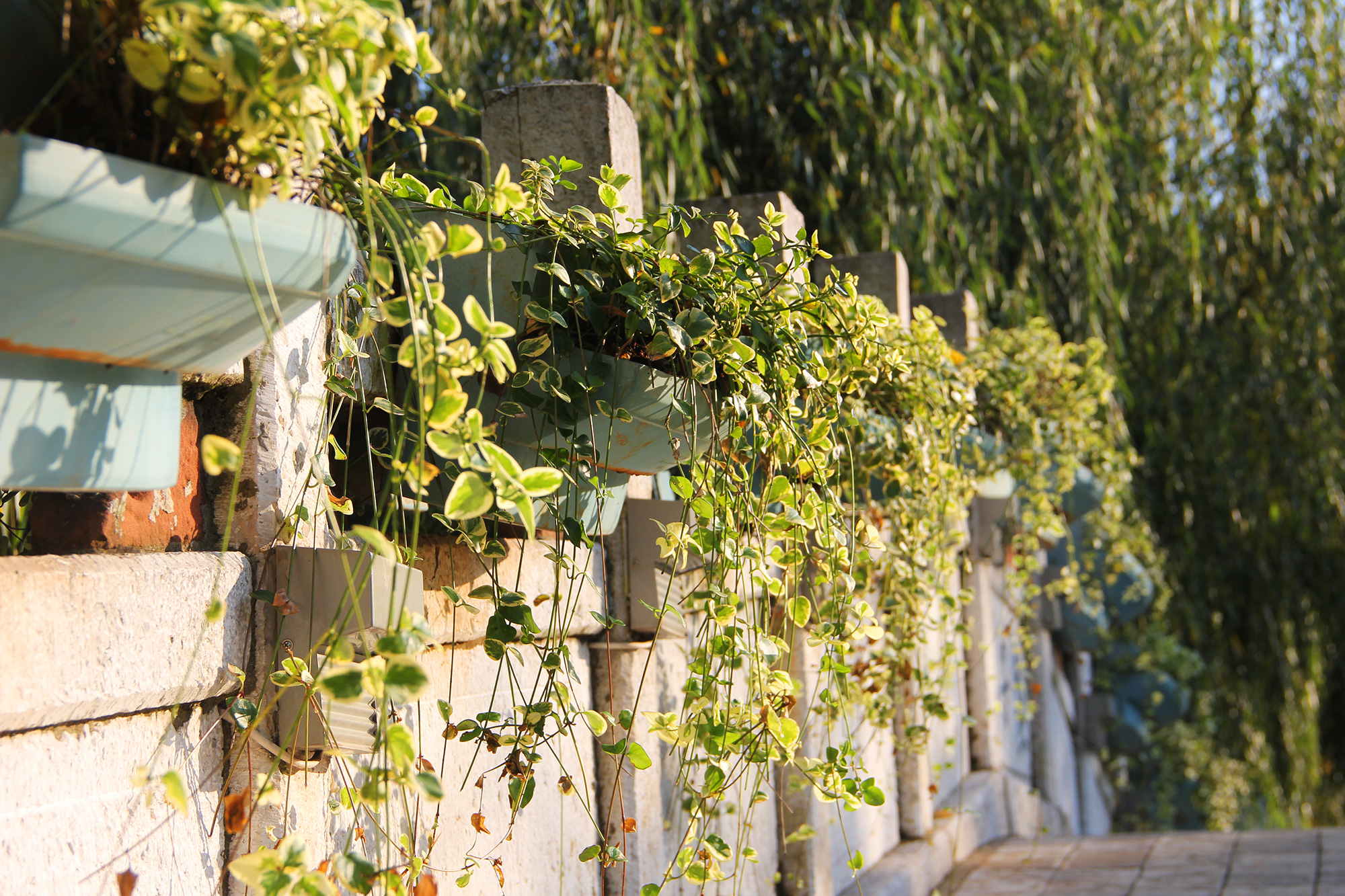 翠湖公园昆明最大的公园,翠湖公园是昆明哪个区