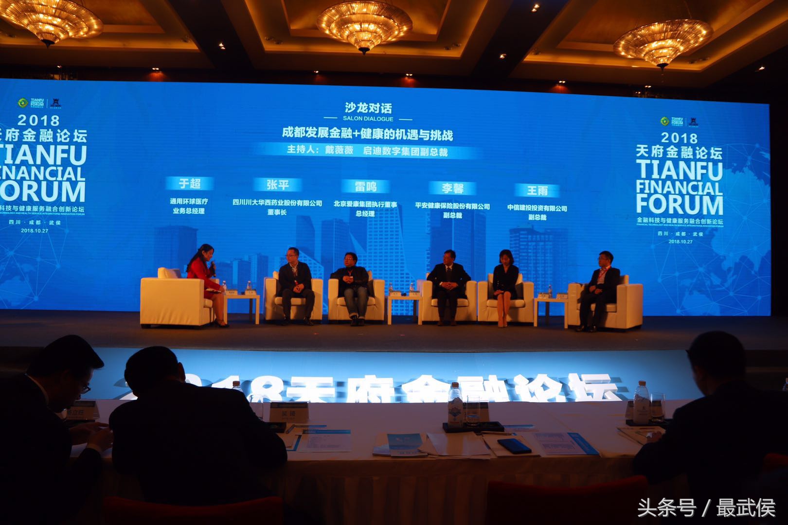 打造保险功能集聚区设立大健康产业引导基金武侯区加快建设“西部大健康金融中心”