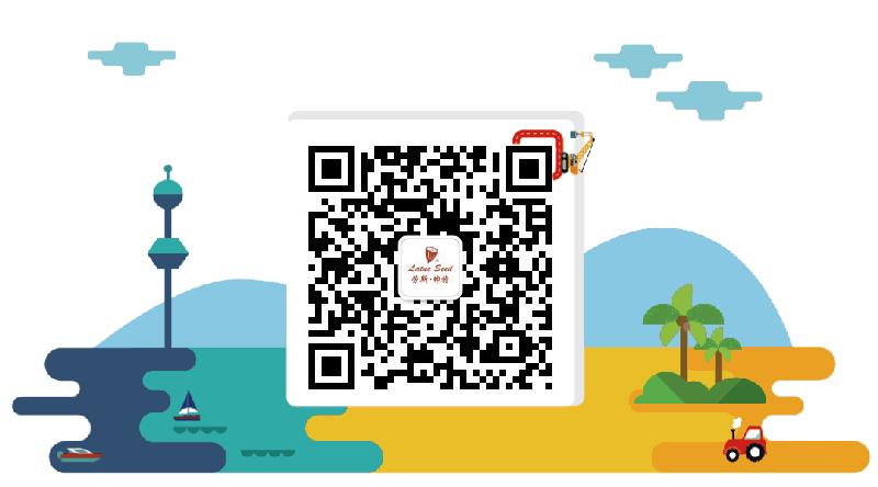 刘雯同款包时尚潮流大牌大容量,刘雯包包盘点