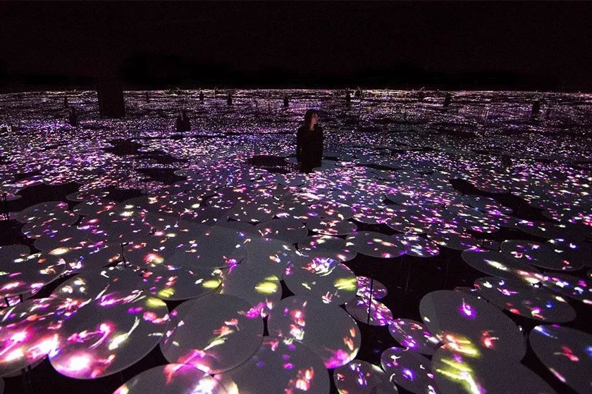 海关最爱登机箱还来第二弹！优衣库可以外穿的秋裤你敢挑战吗？