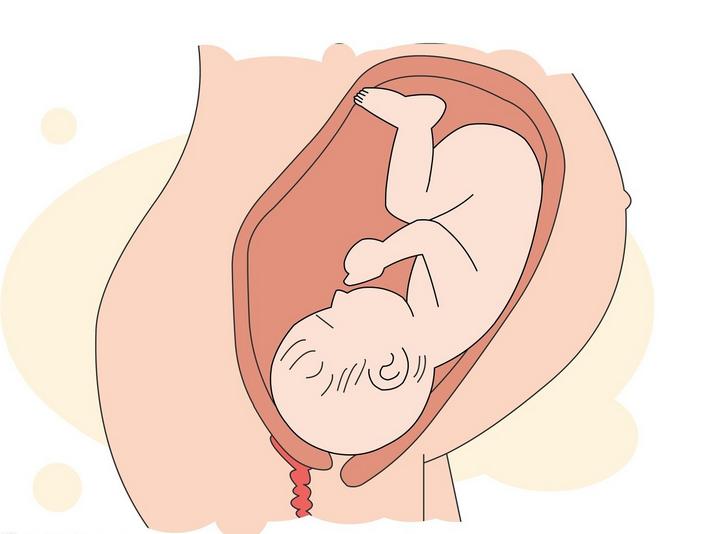 一碰就怀孕为什么易孕体质,一碰就怀孕这什么体质