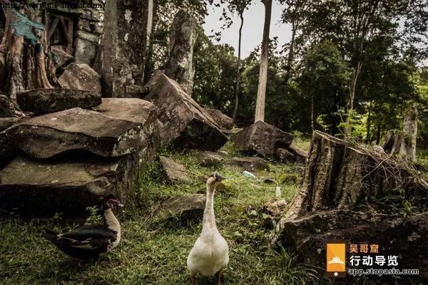 柬埔寨吴哥窟景点大图高清,世界之窗柬埔寨吴哥窟旅游