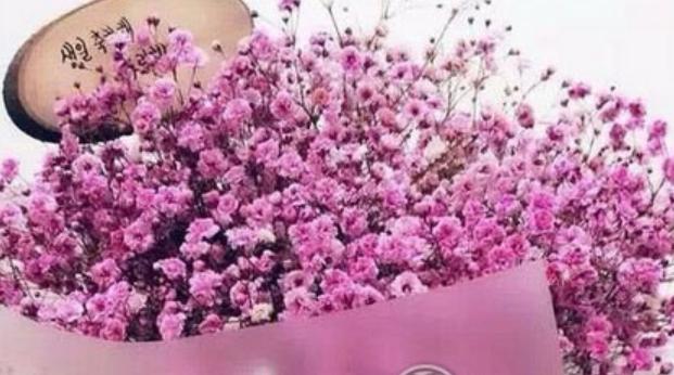 十大花语最悲伤的花,十大花语经典诗句