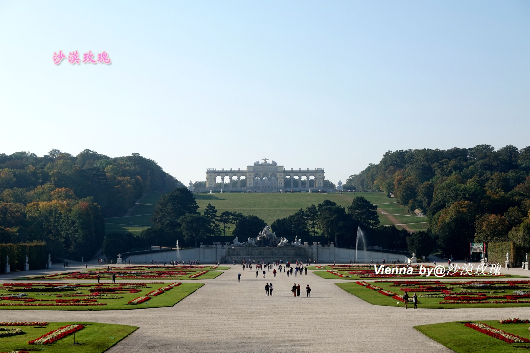 唐嫣罗晋婚礼在哪里举办的,唐嫣罗晋维也纳哪里举行婚礼