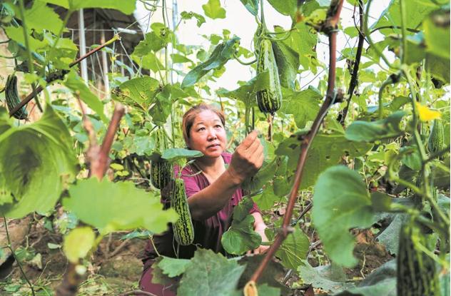 邹平焦桥镇活动,滨州焦桥今日新闻