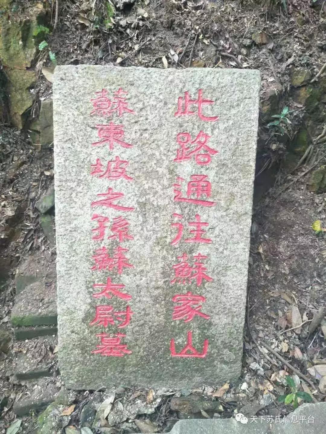 苏氏秋祭“苏家山”兄弟欢聚“月溪寺”