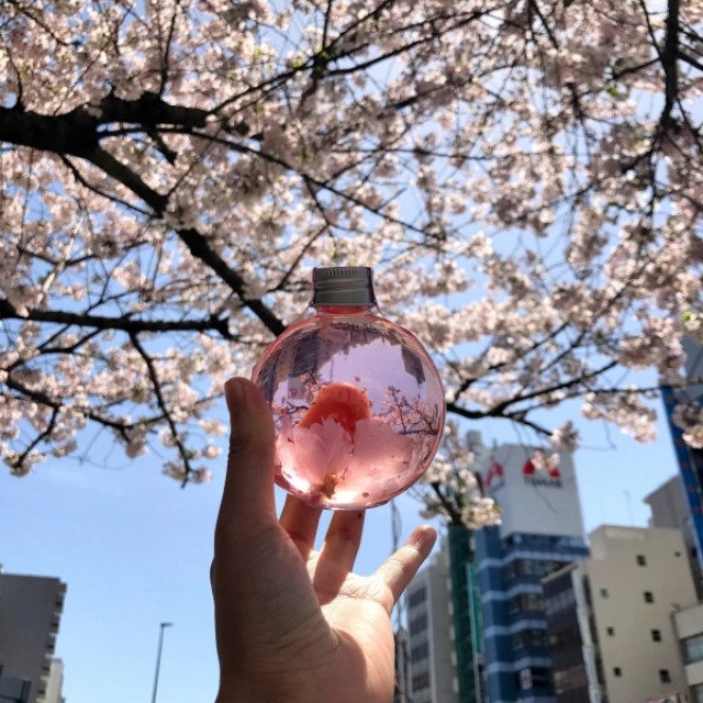 我与酒的故事的范文,我与酒的故事