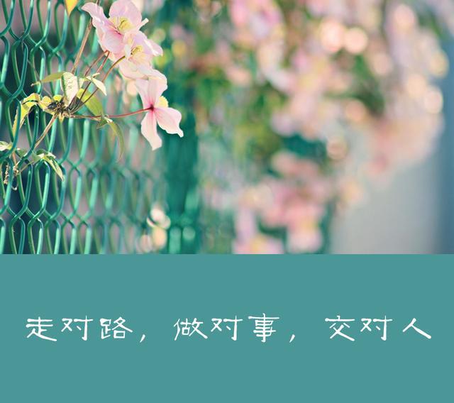 走对路做对事的句子,走对路做对事