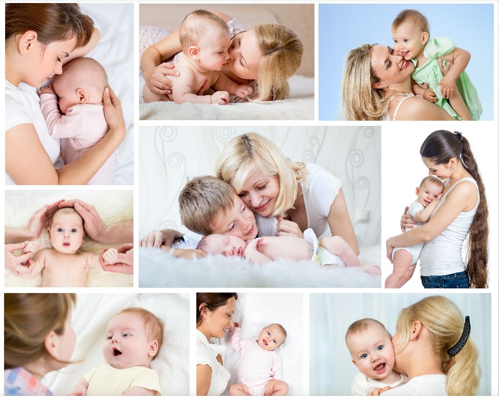 安琪纽特视频大赛,安琪纽特杯第8届