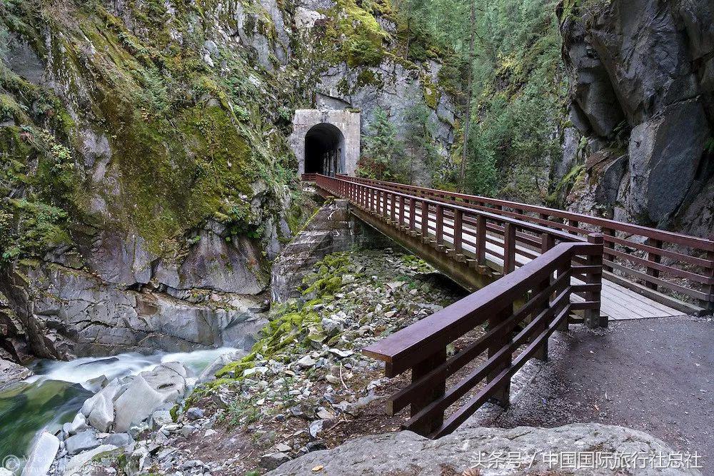 看我72变百变字母秀,看我72变改编