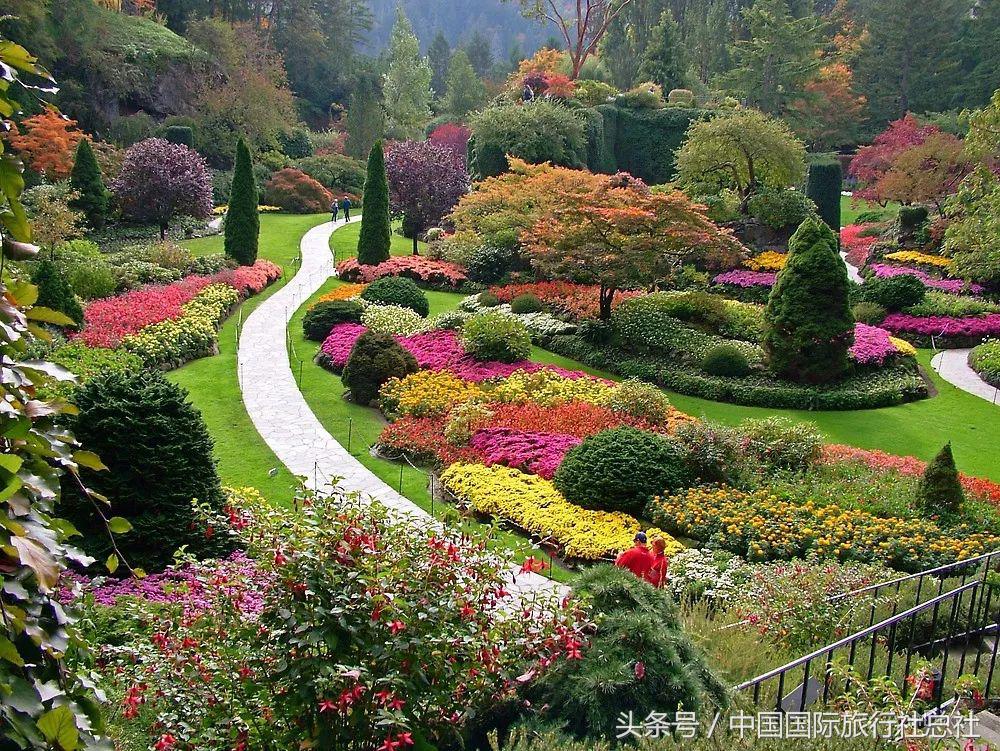 看我72变百变字母秀,看我72变改编