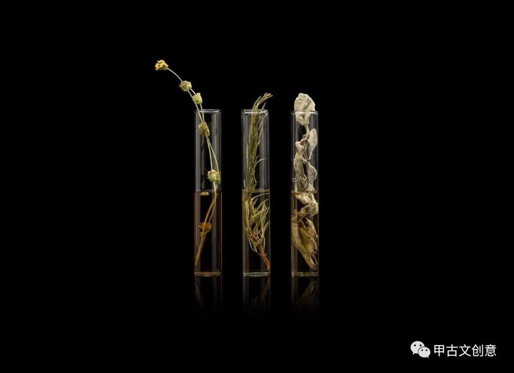 精致的罐子飘逸着草药的香气