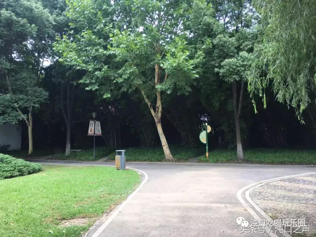 30张照片清晰全屏,沌口图片