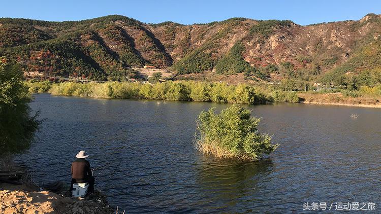 冬季鲫鱼开口的正确方法,水温低于15度鲫鱼好钓吗