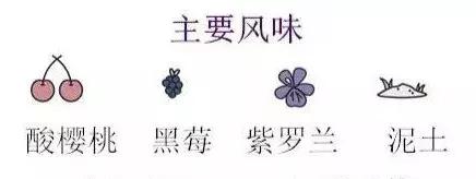 巴贝拉极细版,巴贝拉属于什么档次