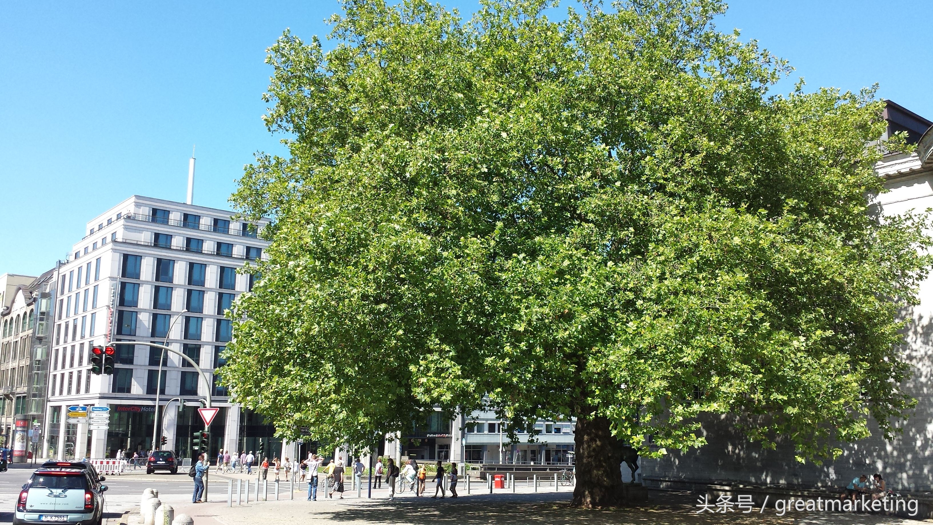 病毒传播行为,病毒感染支付宝