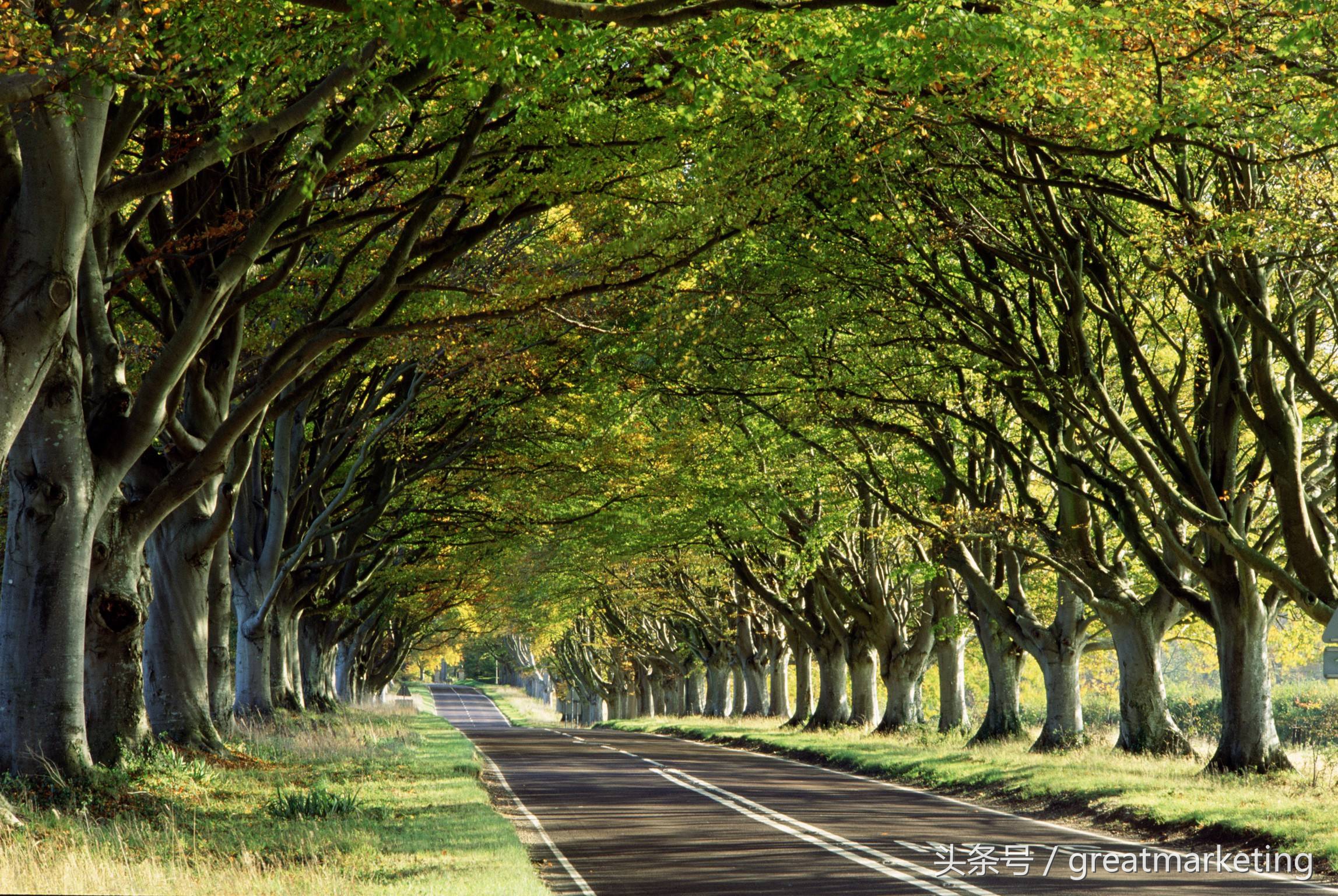 病毒传播真实事件,病毒传播行为