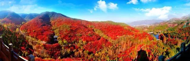 济南红叶谷在济南什么位置,山东济南红叶谷秋色