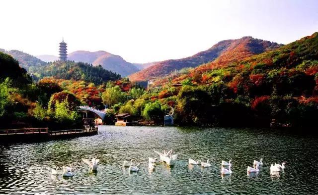 济南红叶谷在济南什么位置,山东济南红叶谷秋色