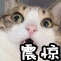 你常吃的连锁品牌“来伊份”吃出它们！“脏兮兮的，还很粘手……”