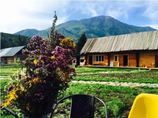 民宿短租成掘金新途径：五六十平米小屋月入可过万