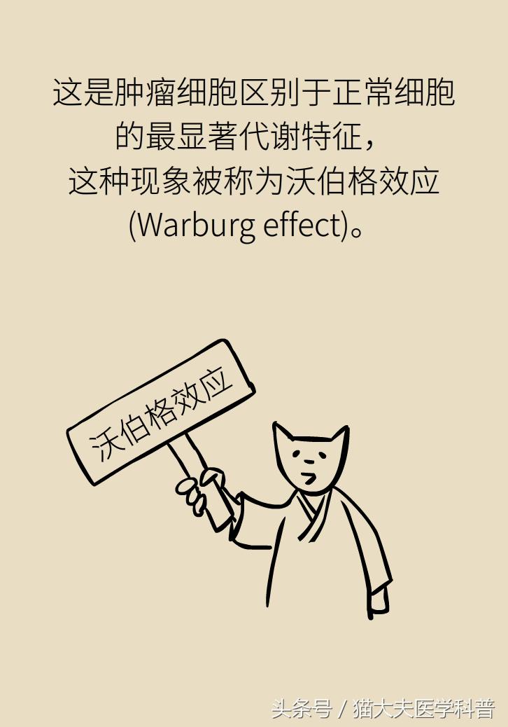 生酮饮食能治疗肺癌吗,生酮饮食能治疗癌细胞扩散吗