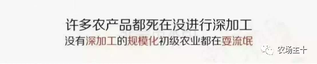 他用一块地做火2个产业，在冰葡萄田里把黑豆卖出4000万