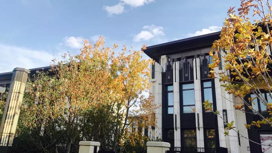 围棋少年的一生,围棋少年讲解视频全集