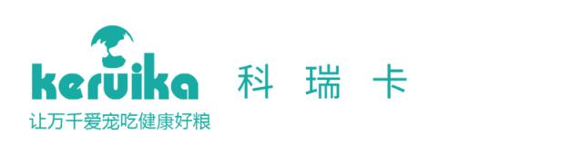 选购博美犬的3点基本常识,博美犬的基本知识