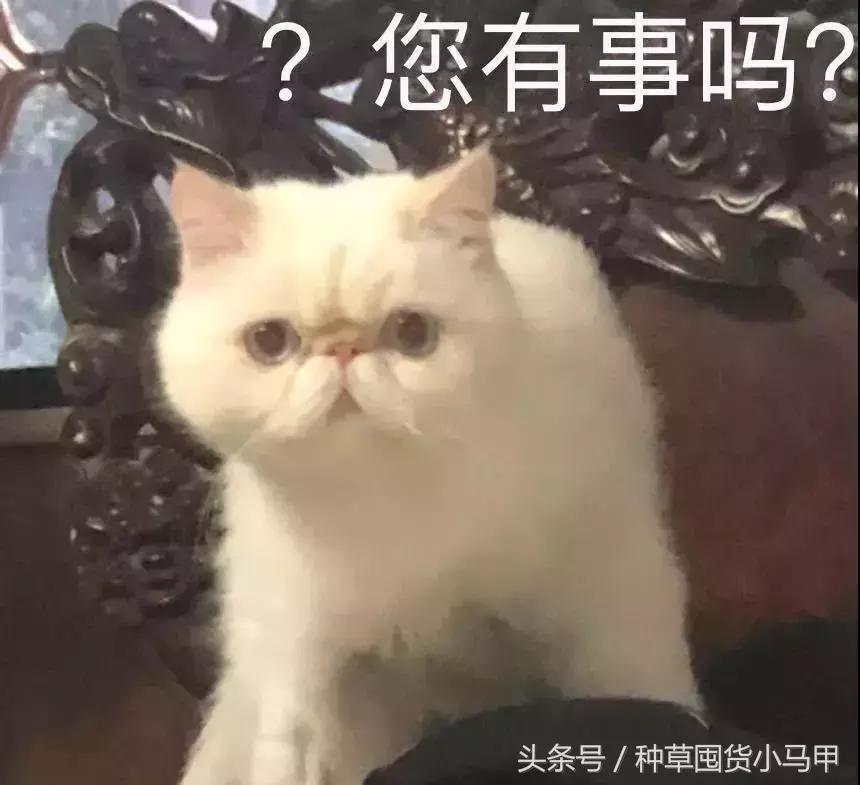 拒绝假货,拒绝假货保证正品