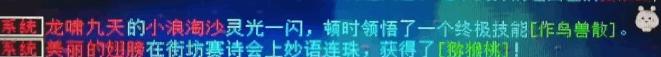 大话西游2老玩家回忆往昔20年,大话西游2小浪淘沙带什么技能