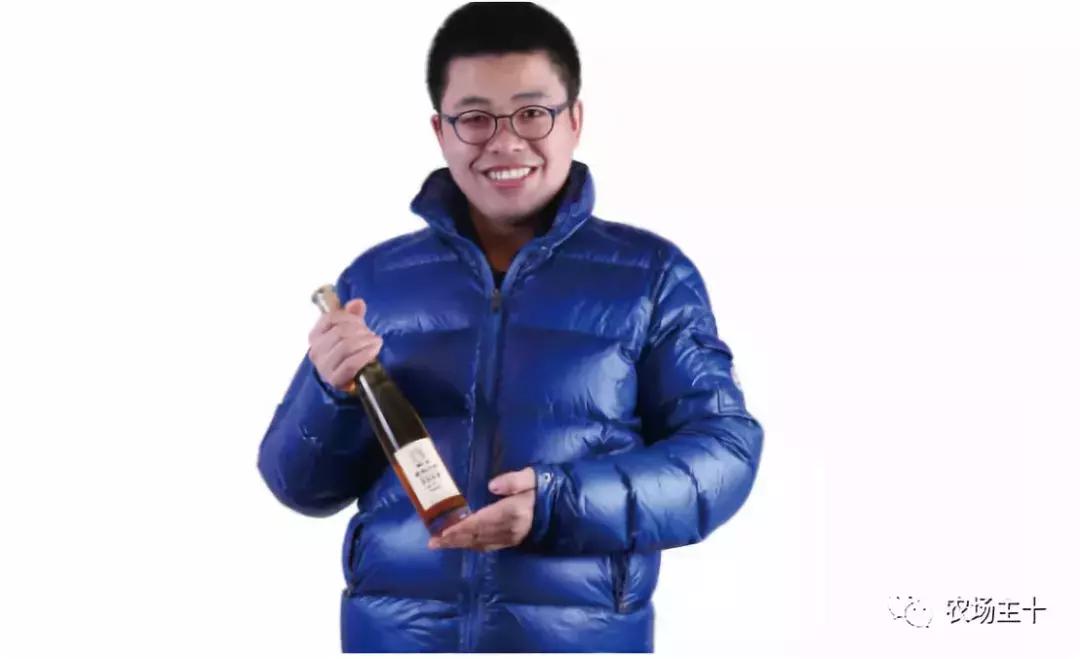 他用一块地做火2个产业，在冰葡萄田里把黑豆卖出4000万