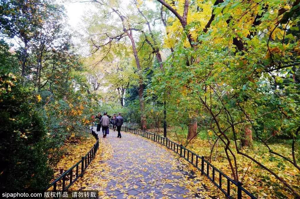 北京公园秋景最佳去处,北京赏秋公园推荐排行榜