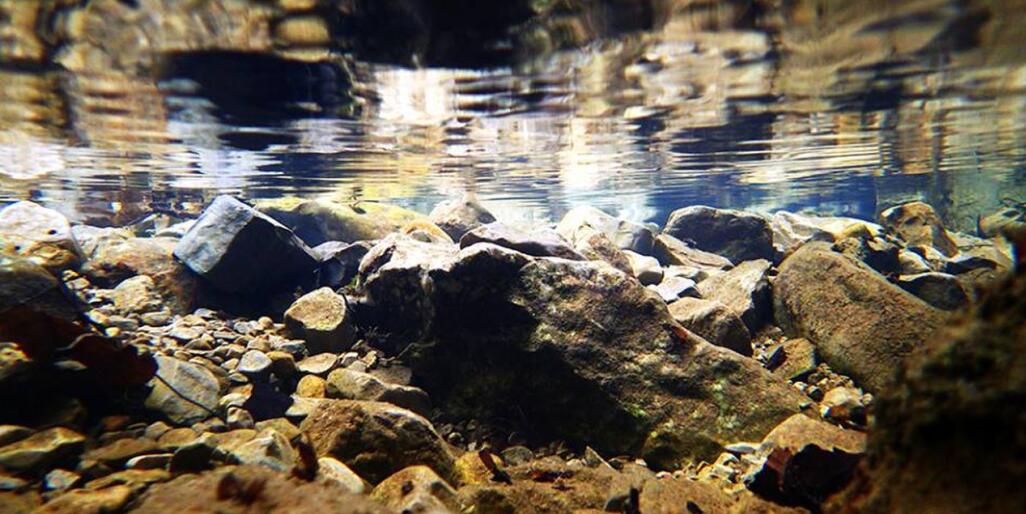 长城杯溪流造景大赛,长城杯造景大赛