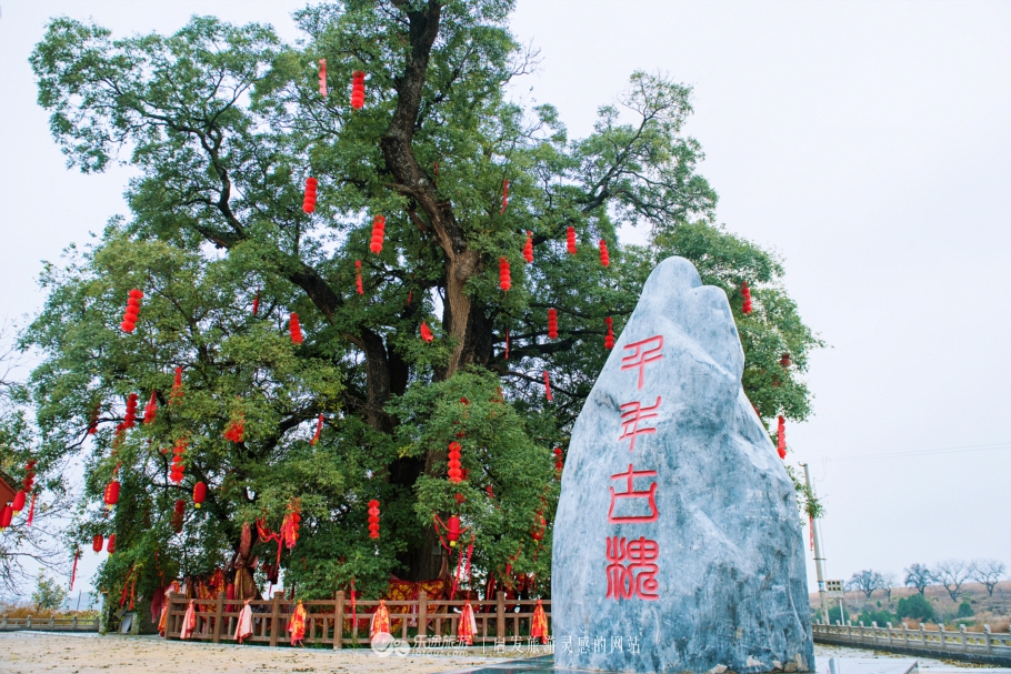 天下黄土第一塬甘肃庆阳,地球上黄土最厚的地方