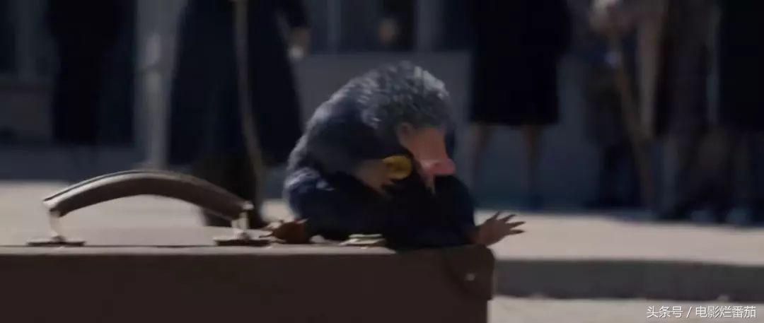 十一月这份片单,我敲锣打鼓的告诉你