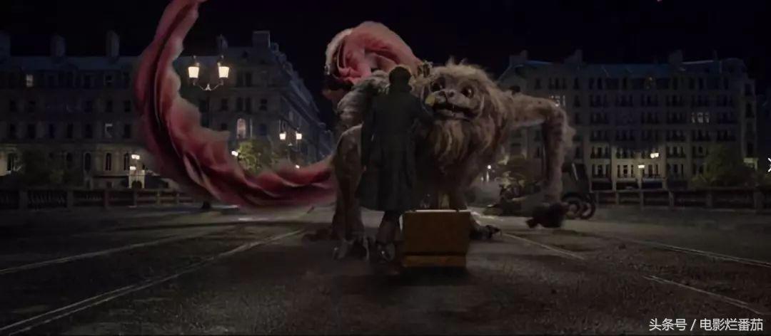 十一月这份片单,我敲锣打鼓的告诉你