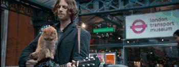 十一月的这份片单，我迫不及待的告诉你