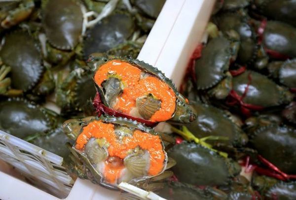 闺蜜的看海之旅，三亚自由行攻略