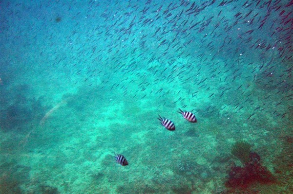 闺蜜的看海之旅，三亚自由行攻略