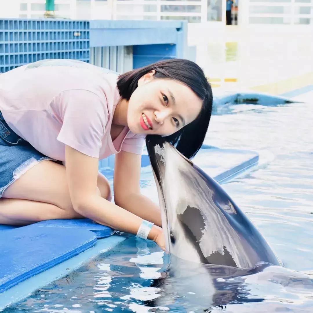 鲨鱼海豚亲子游攻略 (凤岭水世界游玩攻略)