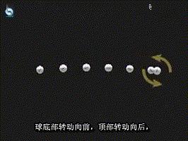 乒乓球基础知识学习,乒乓球新手必须掌握的几种旋转