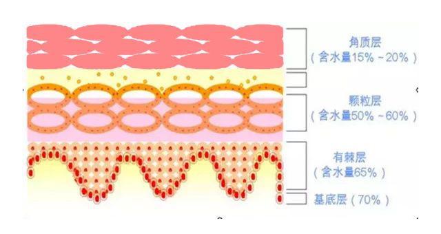 敏感肌肤角质层薄发红修复专用霜,角质层薄敏感肌肤适合哪些护肤品