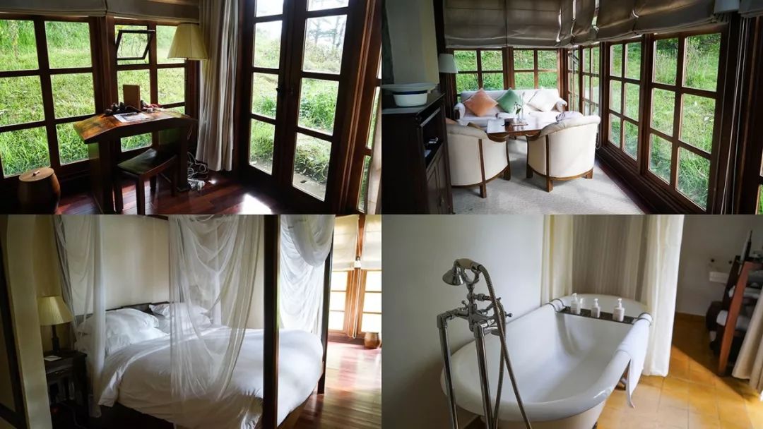 越南穷小女孩,越南富婆装穷去打工