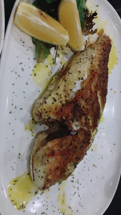 美食博主伊藤美诚晒晚餐：暴饮暴食到吃胃药，伙食不要太好！