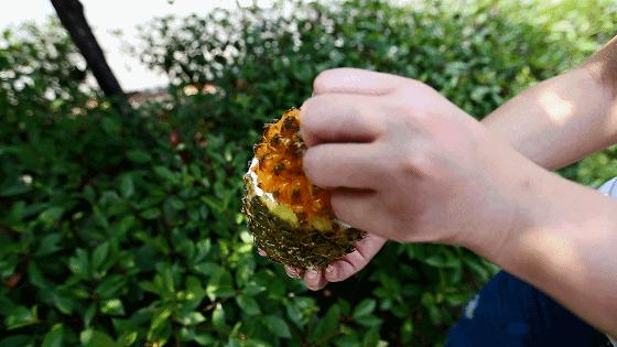 宜家双十一五折活动,双十一宜家必买