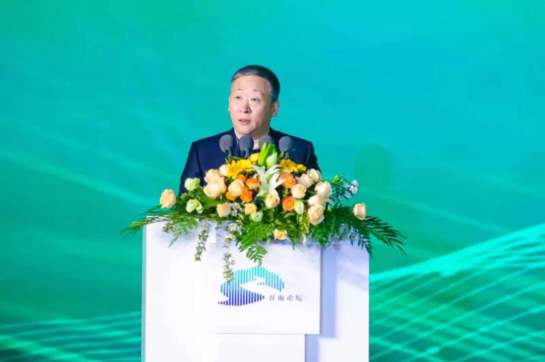 双沟名酒百年经典52度价格,高档白酒双沟