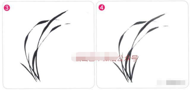 写意兰花的基本画法视频,写意兰花的画法技法视频